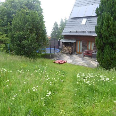 Haus Bergwiese - Fuer Naturfreunde, Familien, Wanderer Gehlberg Exteriör bild