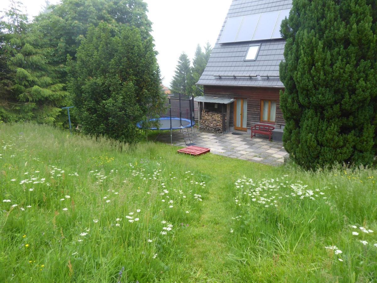 Haus Bergwiese - Fuer Naturfreunde, Familien, Wanderer Gehlberg Exteriör bild